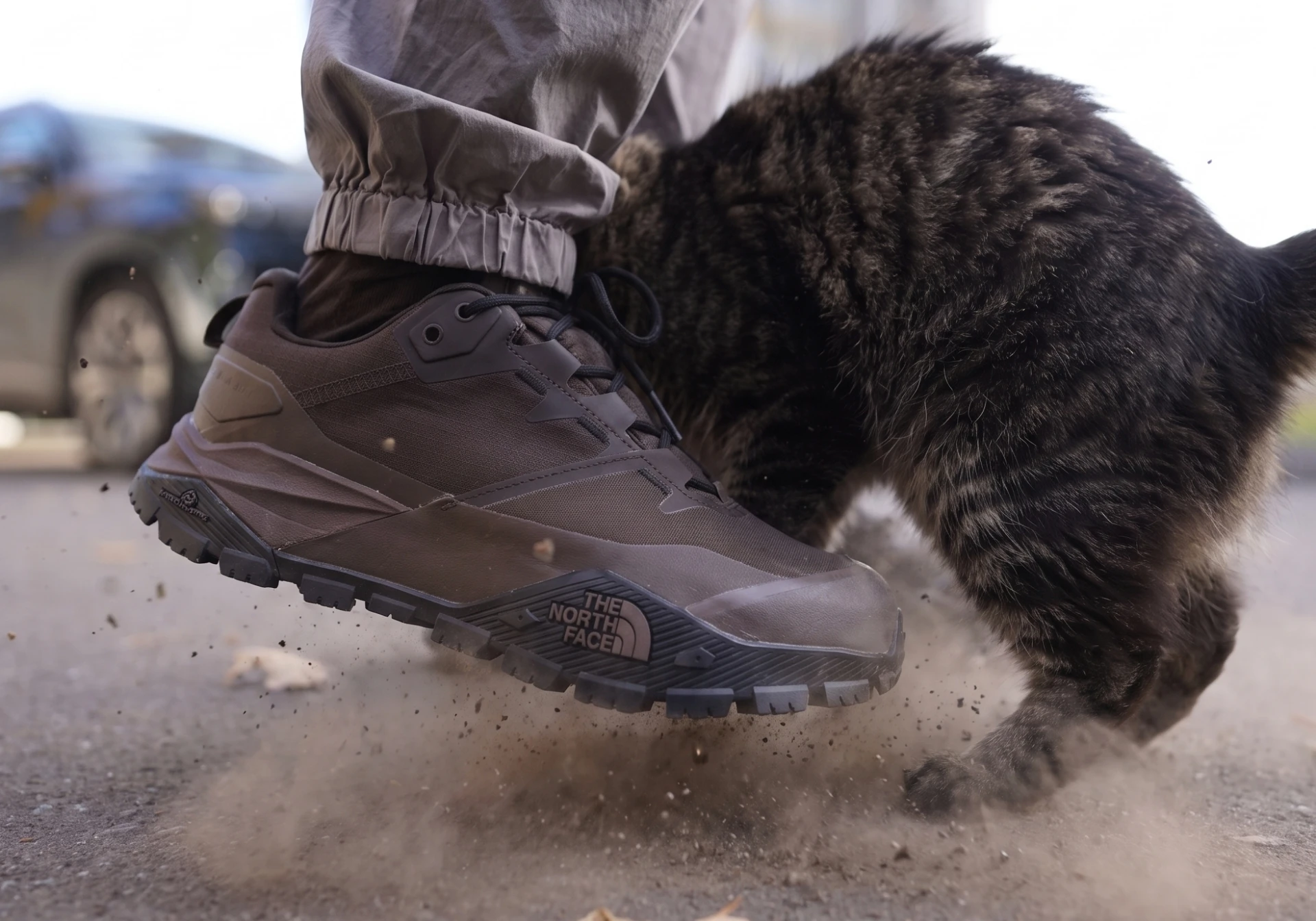 Шманит клеем, но держит намертво! Кроссовки The North Face M OFFTRAIL HIKE GORE-TEX