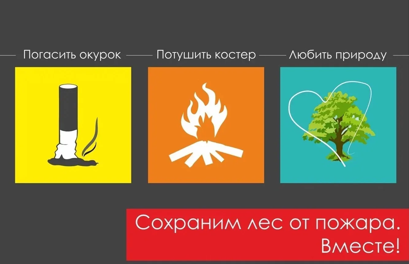 🌿Лес — наше общее богатство. Давайте беречь его от огня!

❕Знаете ли вы, что большинство лесных пож