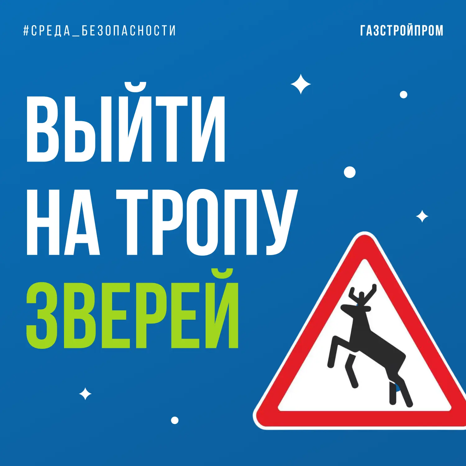 Как поделить дорогу с дикими животными