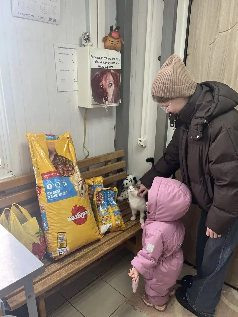 1 марта Романова Арина, ученица 7 В класса МАОУ "Адымнар-Алабуга" ЕМР РТ победила на конкурсе, « Бан