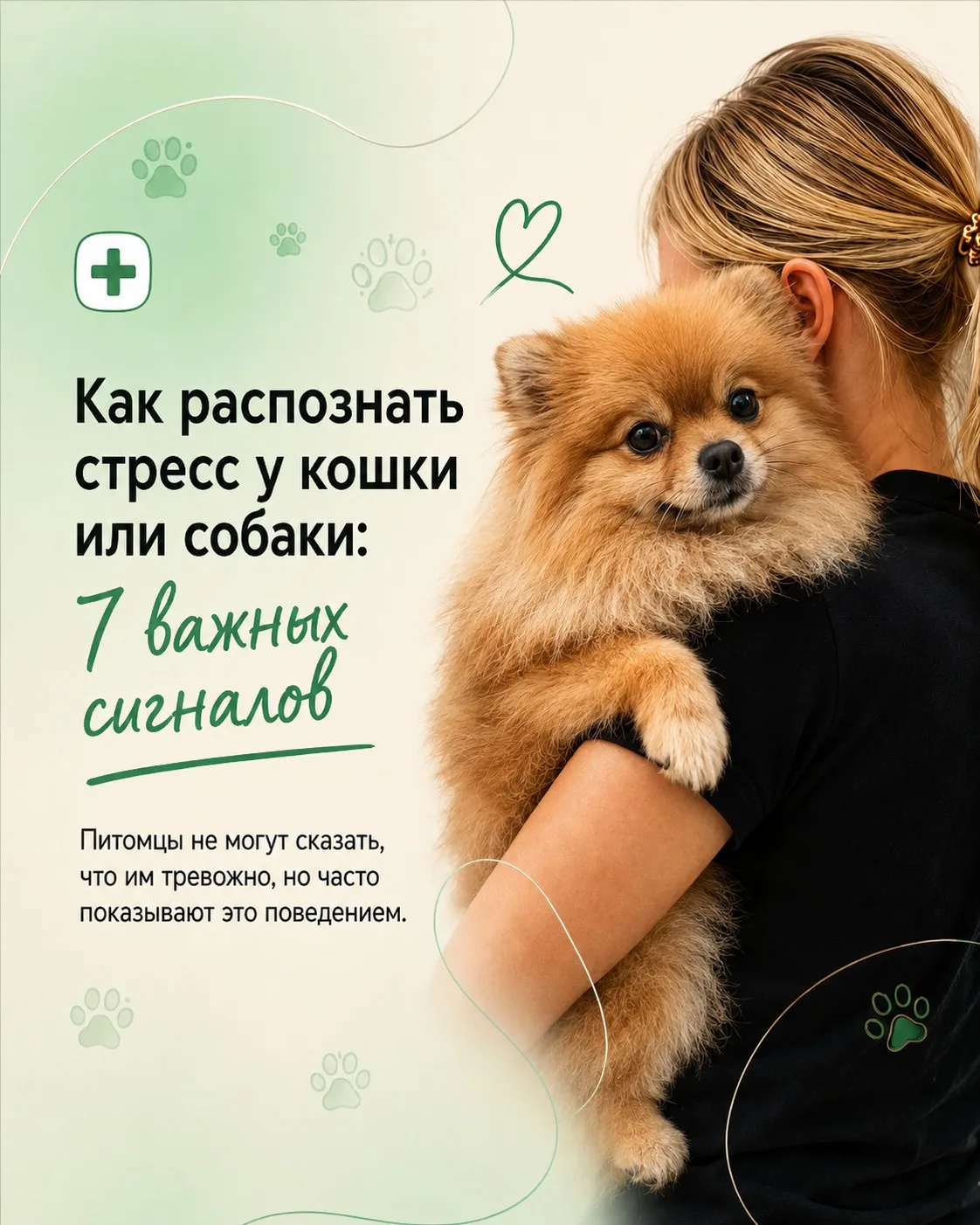 🩺 Как распознать стресс у питомца :  7 важных сигналов🐾➡️