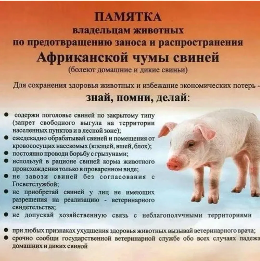 Информация для населения!
⁣
#ГосветслужбаХвалынскогорайона#СаратовскаяОбласть#ВетеринарнаяСлужба#ОГУ