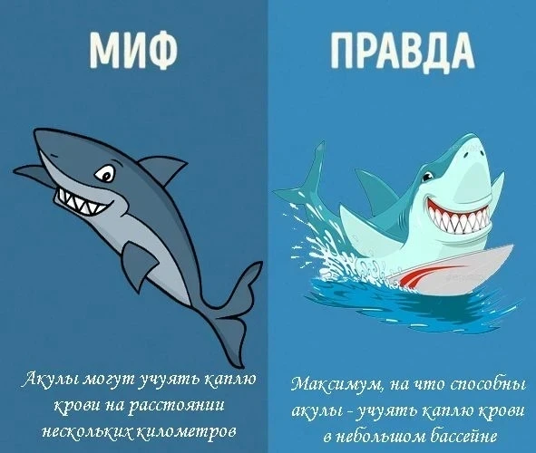 🫍 В МИРЕ ЖИВОТНЫХ