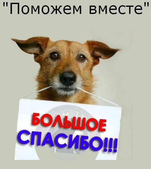 ОГРОМНОЕ СПАСИБО ❤️❤️❤️