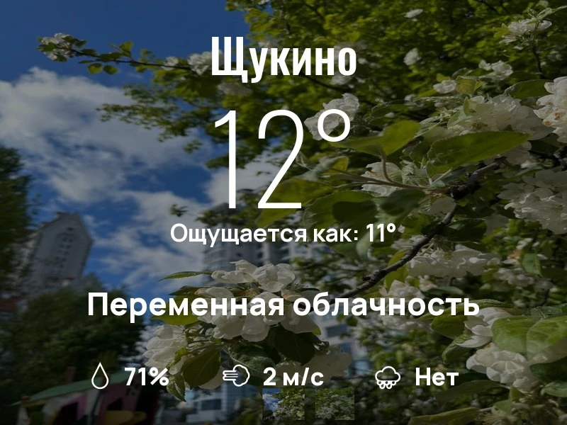 Что с погодой в Щукино?