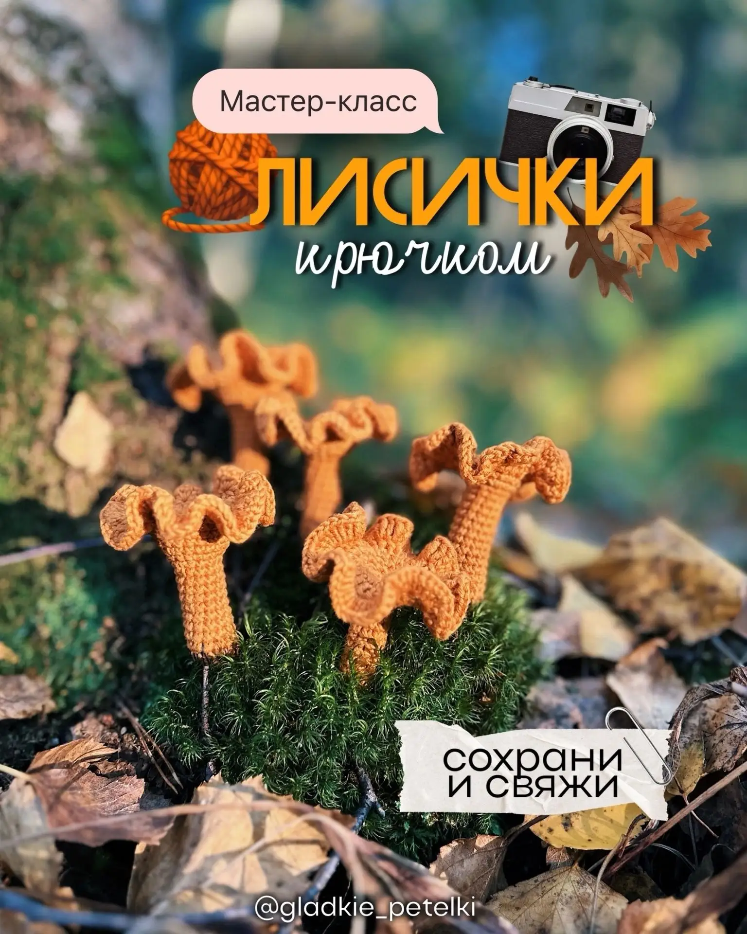 Лисички 🍁🍂