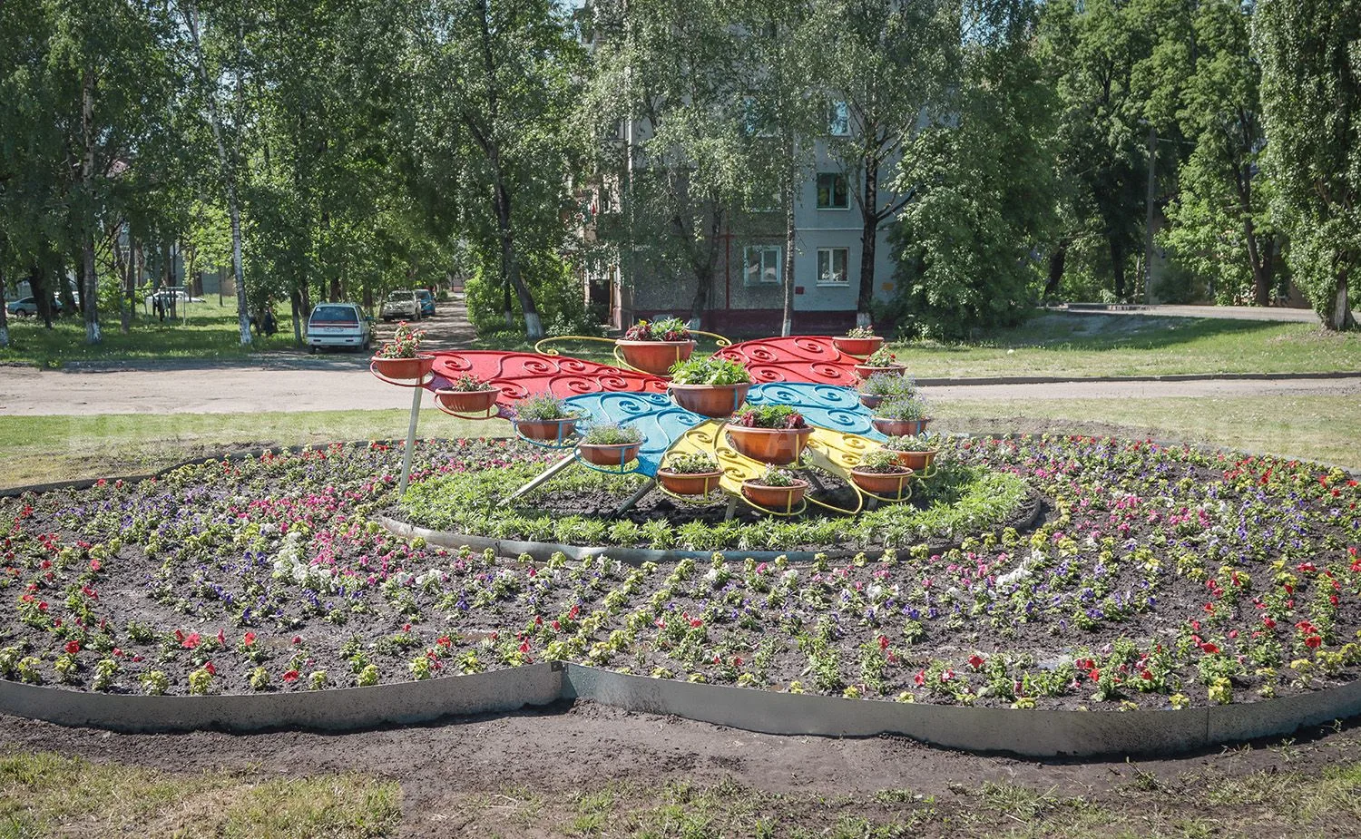 На въезде в Брянск зацвела Жар-птица  «Брянск – город цветов» — это понимает каждый въезжающий в обл