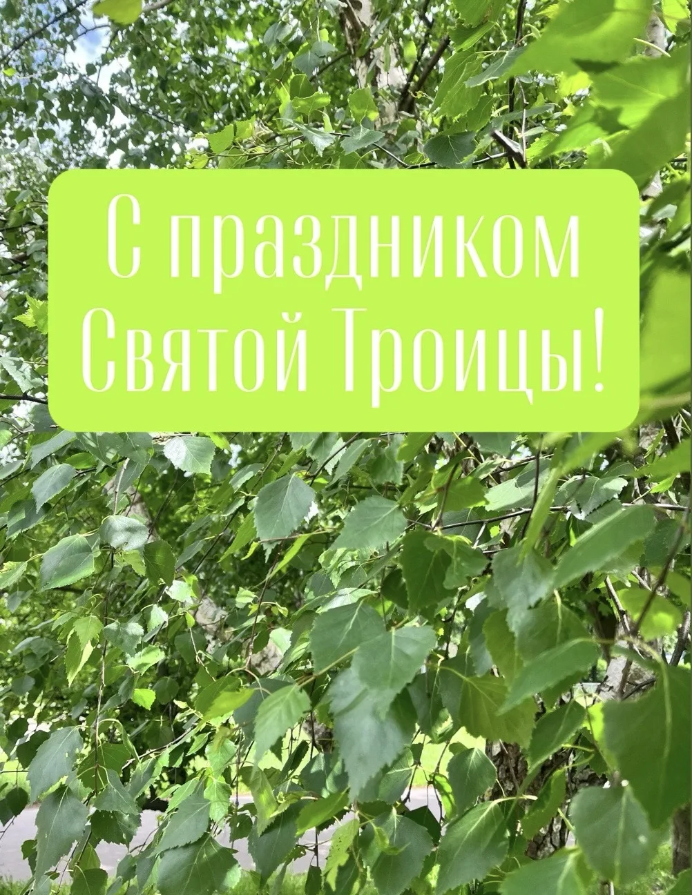 Дорогие друзья, сегодня праздник Святой Троицы! 
Пусть в каждом доме будет добро, мир и благополучие