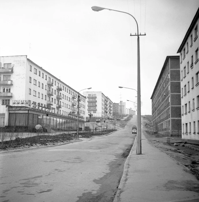 1976 год