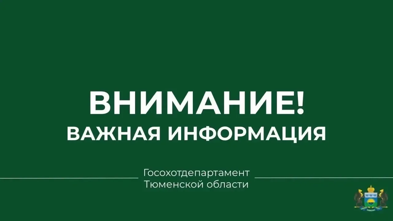 В Уватском муниципальном округе приняты меры в связи с выходами бурых медведей к населё...