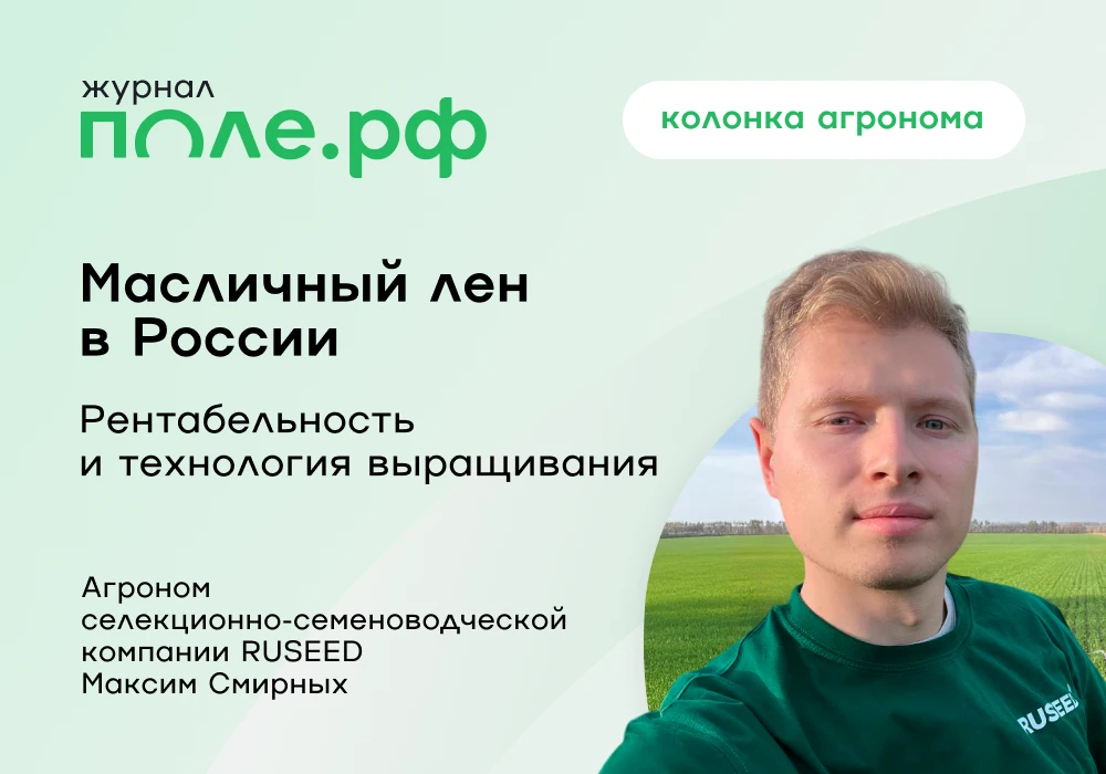 🌱 Лен – новый фаворит в сегменте масличных?