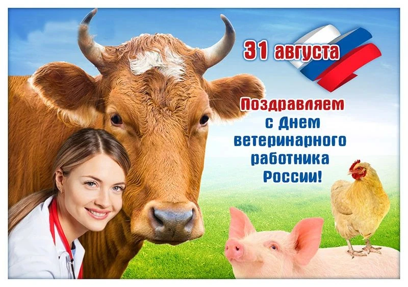 Уважаемые работники и ветераны ветеринарной службы!