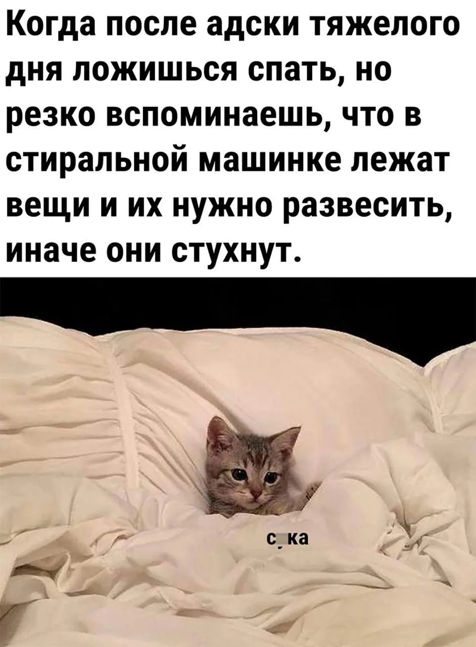 Изображение 1 к публикации «Будь собой | Саморазвитие»