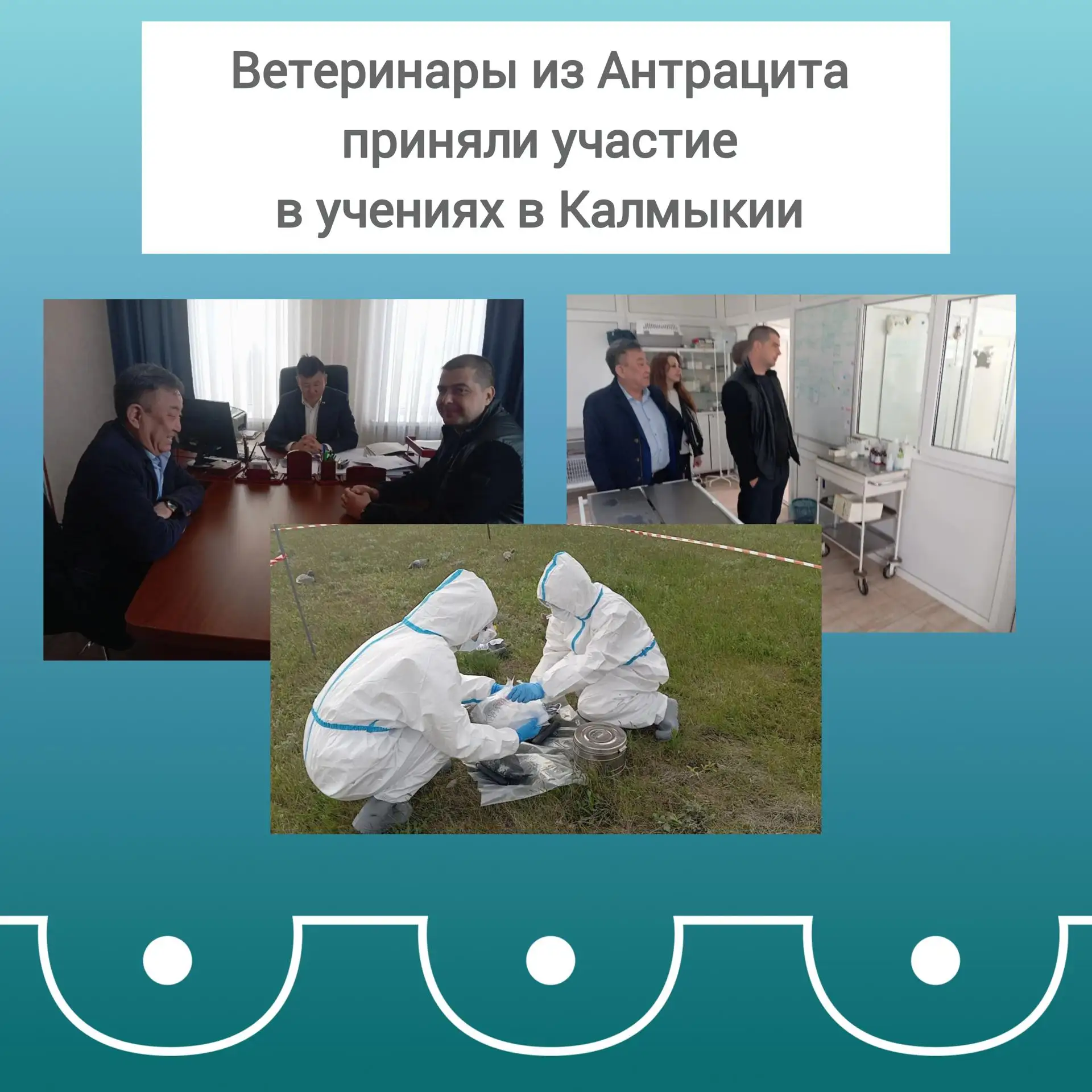 Ветеринары из Антрацита приняли участие в учениях в Калмыкии
Ветеринары из Антрацита приняли участие