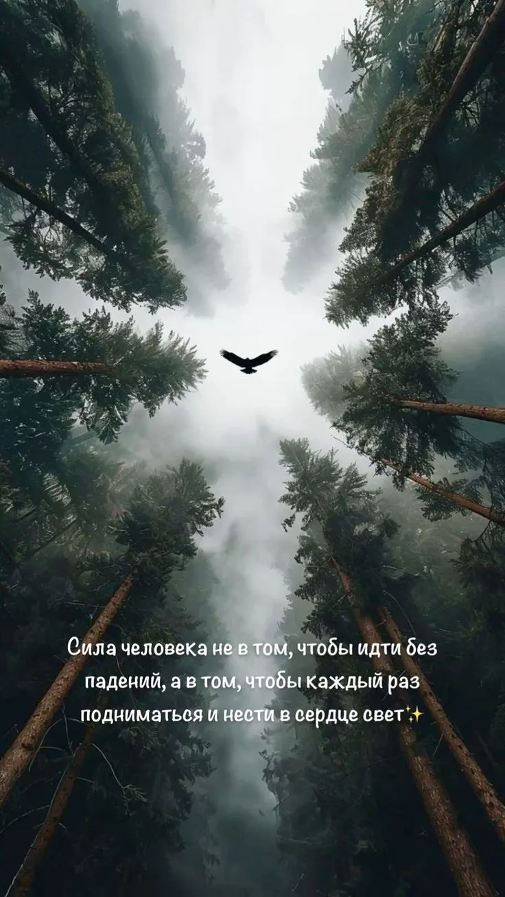 Важное напоминание🙌