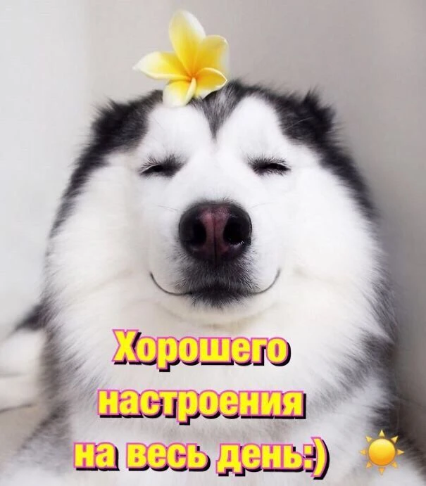 Подпишись 👇
Твои открытки • Открытки • Доброе утро • С днём рождения • Спокойной ночи