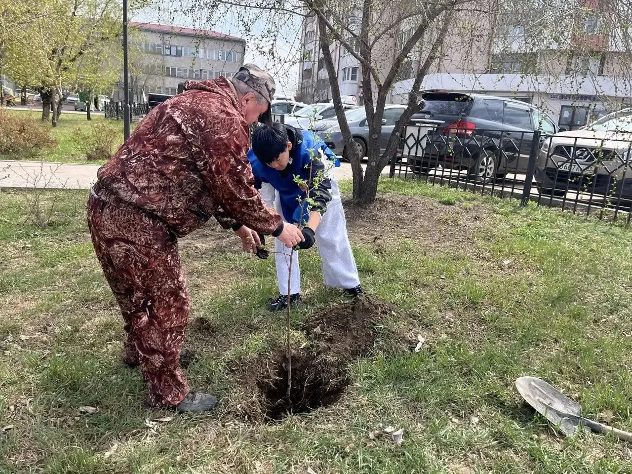 🌹 Розы и белую сирень посадил в сквере Молодёжный трудовой отряд мэра Улан-Удэ   В сквере «Ровесника