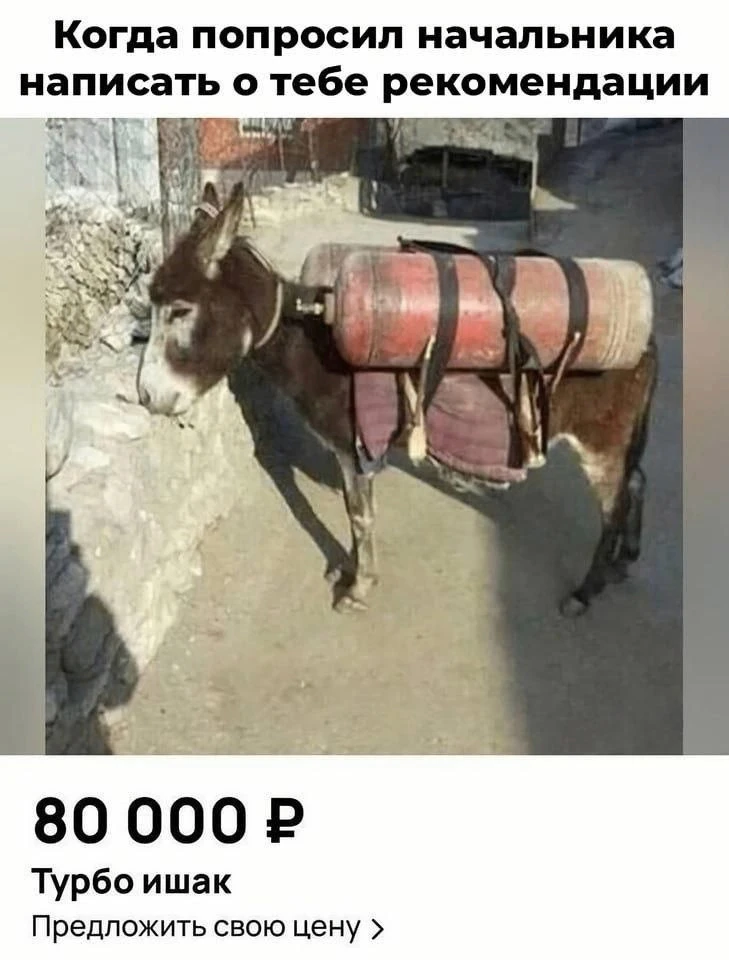 Подпишись🤣