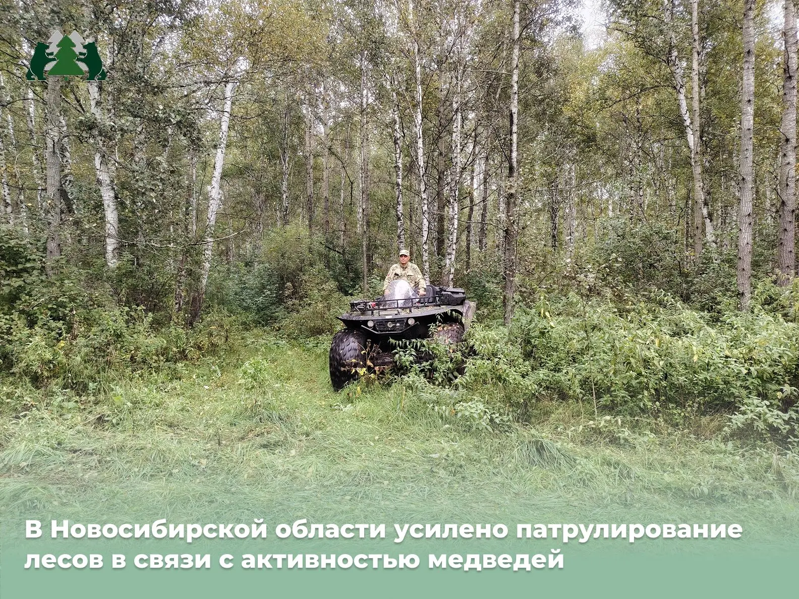 🐻 Из-за пожароопасной обстановки в соседних регионах и вынужденной миграции диких живо...