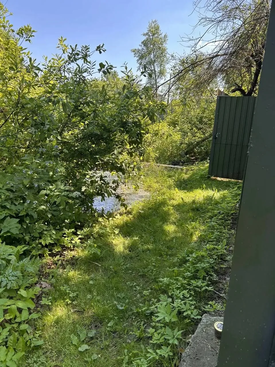 В поселке Мостовик уже две недели течет вода, образуя пруд-болото. Вода дошла до домов по улице Лесн