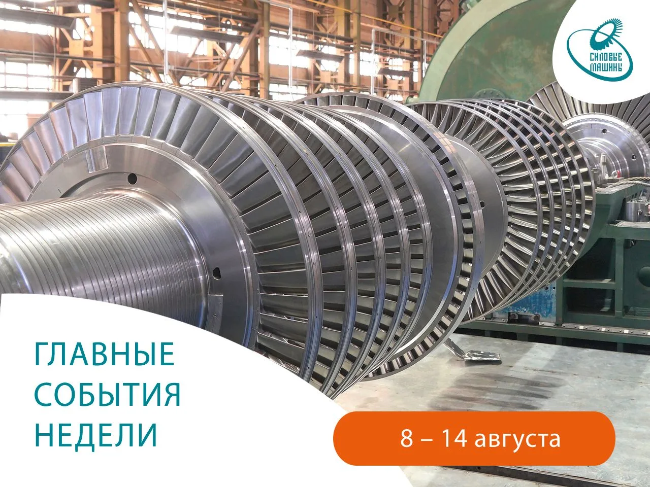 Чем запомнилась неделя с 8 по 14 августа?