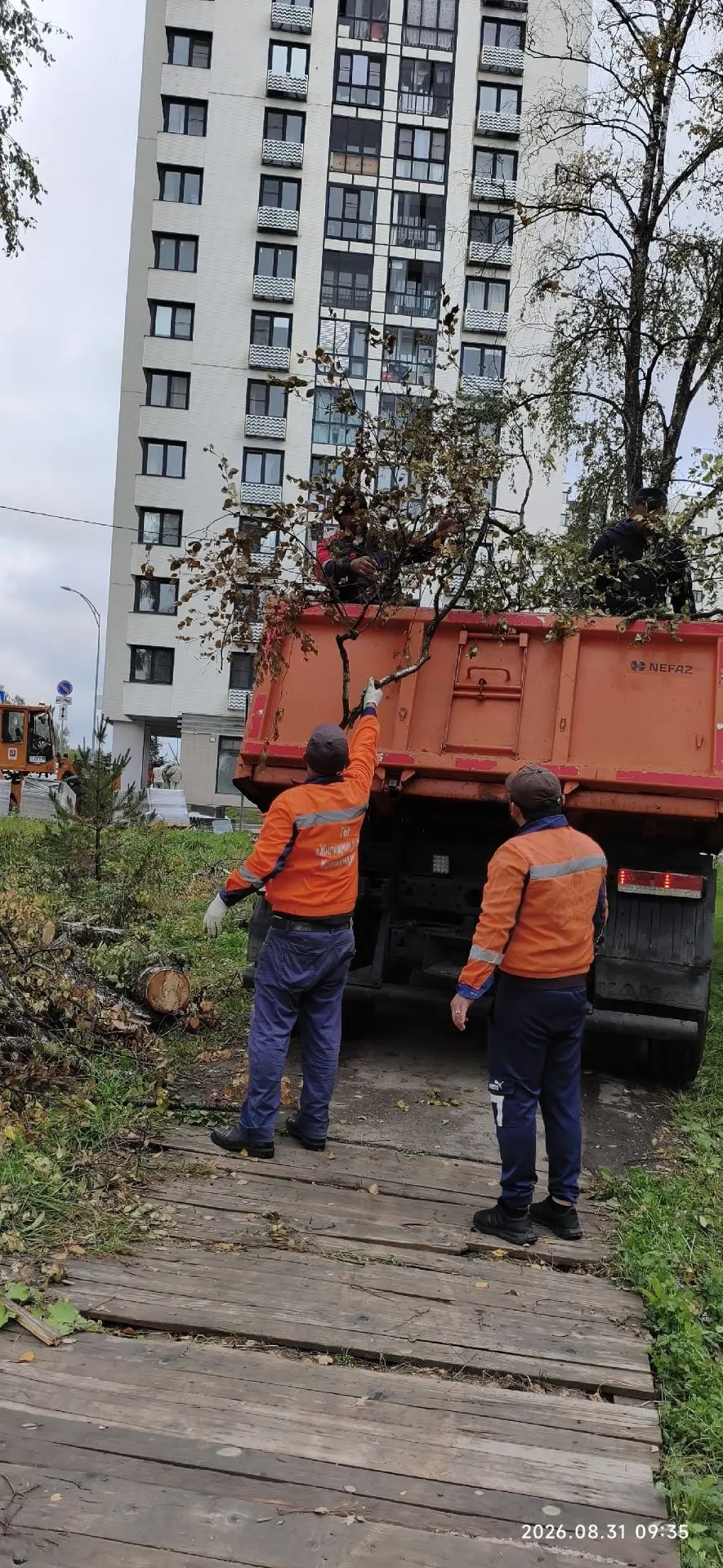 Порубочные остатки убирали- убирали, но так до конца и не убрали.
