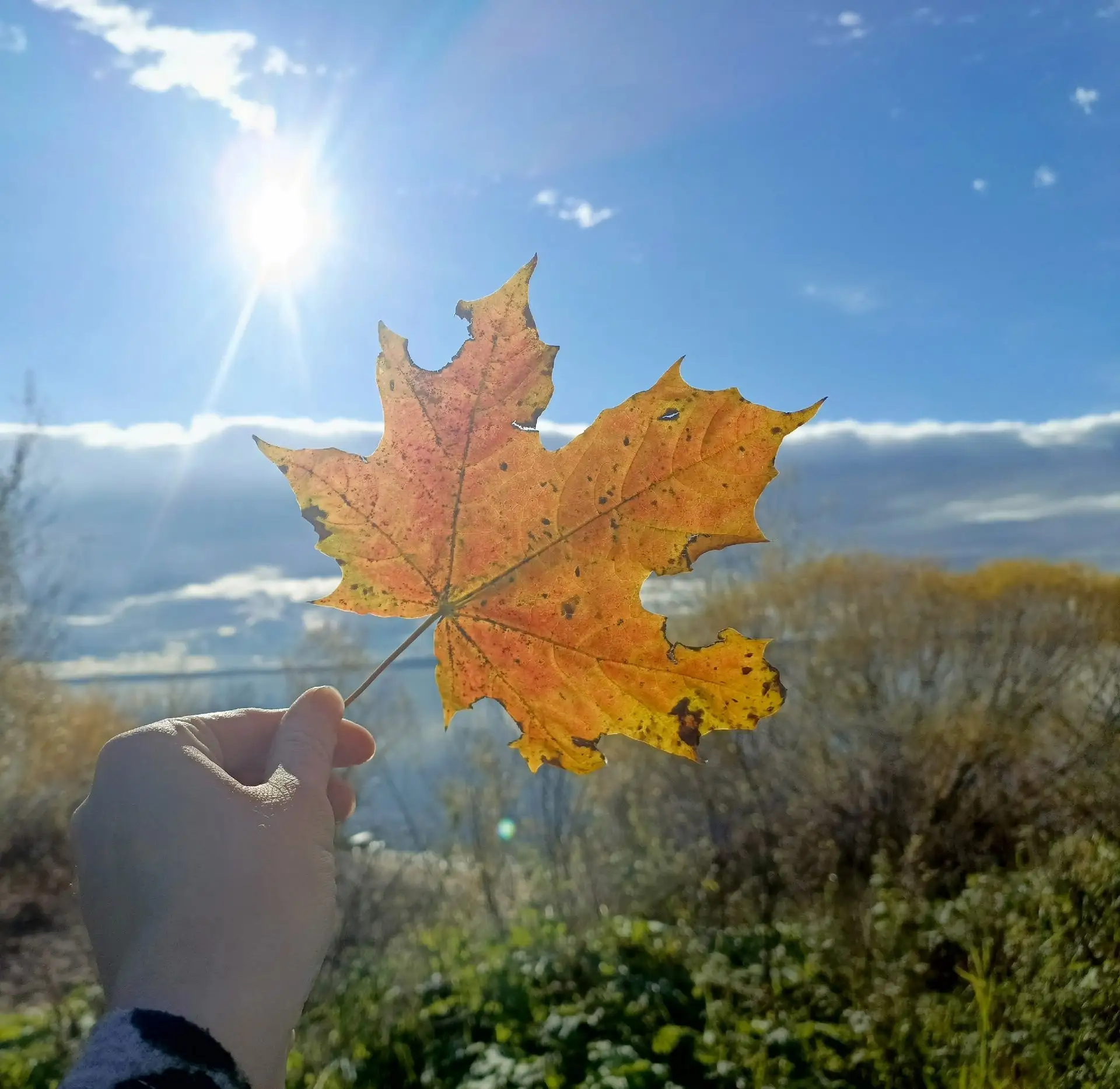 Доброе утро, регион! Сегодня четверг, 1 октября 🌥️🍂