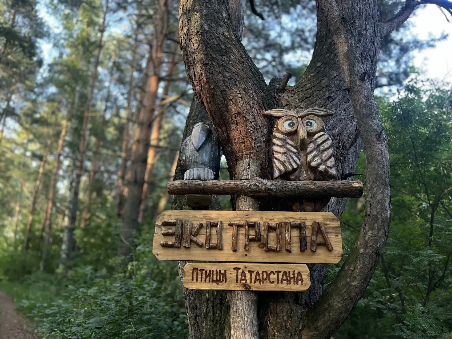 Доброе утро, рыбнослободцы! ☀️
Хәерле иртә, балыкбистәлеләр! ☀️