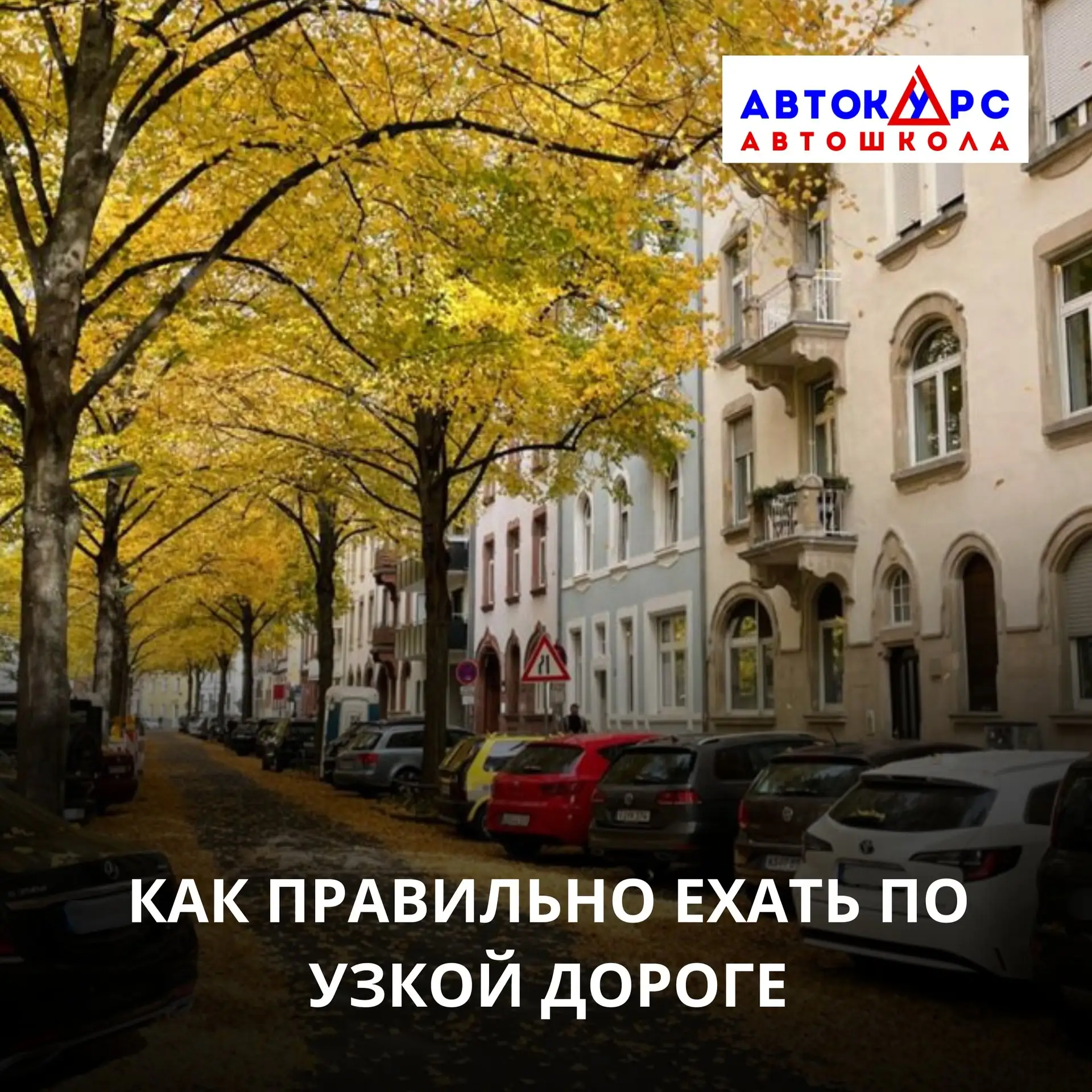 🛣 Как правильно ехать по узкой дороге