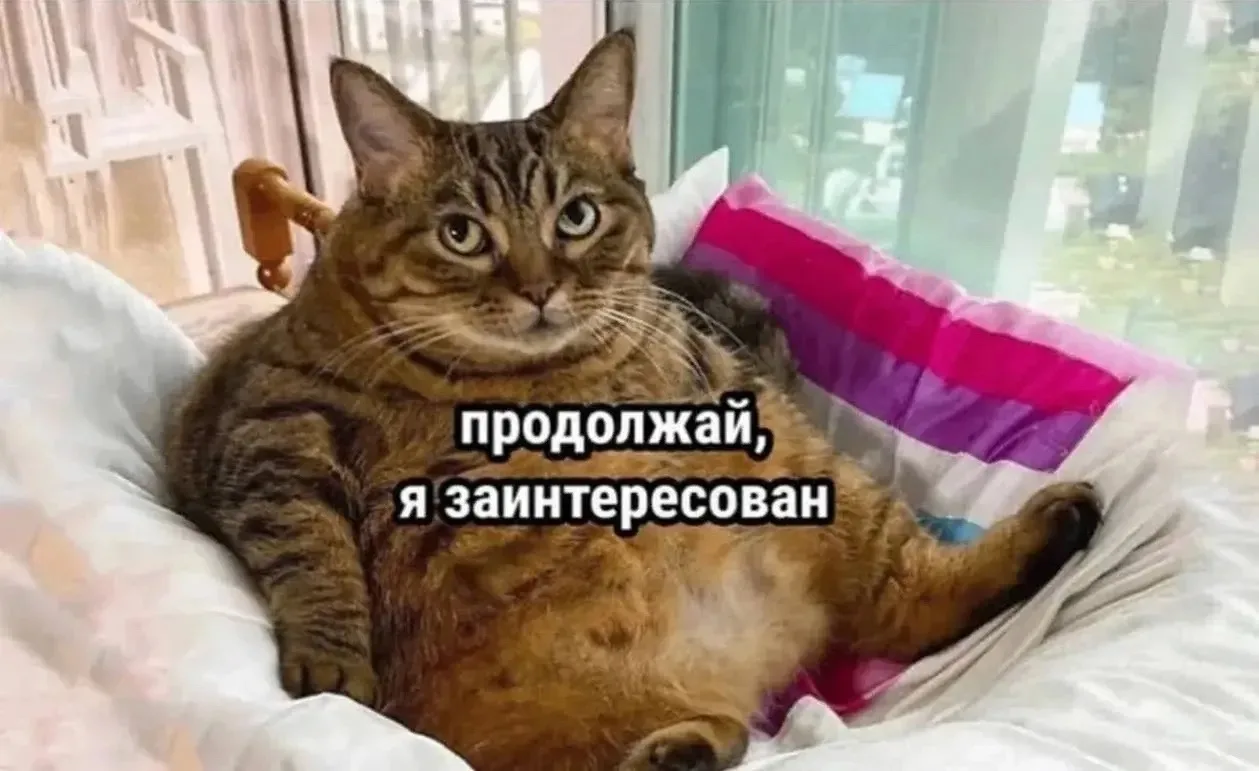 🍰 Тяга к еде усиливается осенью из-за нехватки света