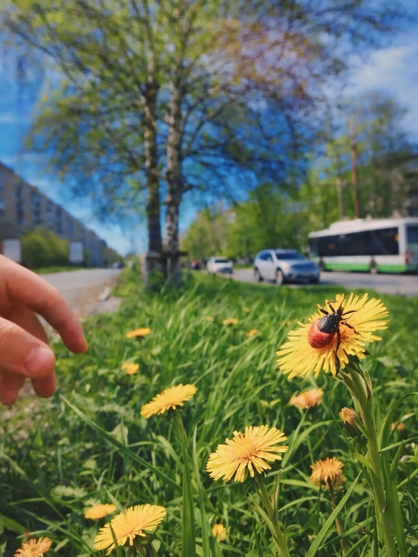 🌼 Березниковцы, будьте внимательны! С наступлением тепла просыпаются клещи. Они могут поджидать не т