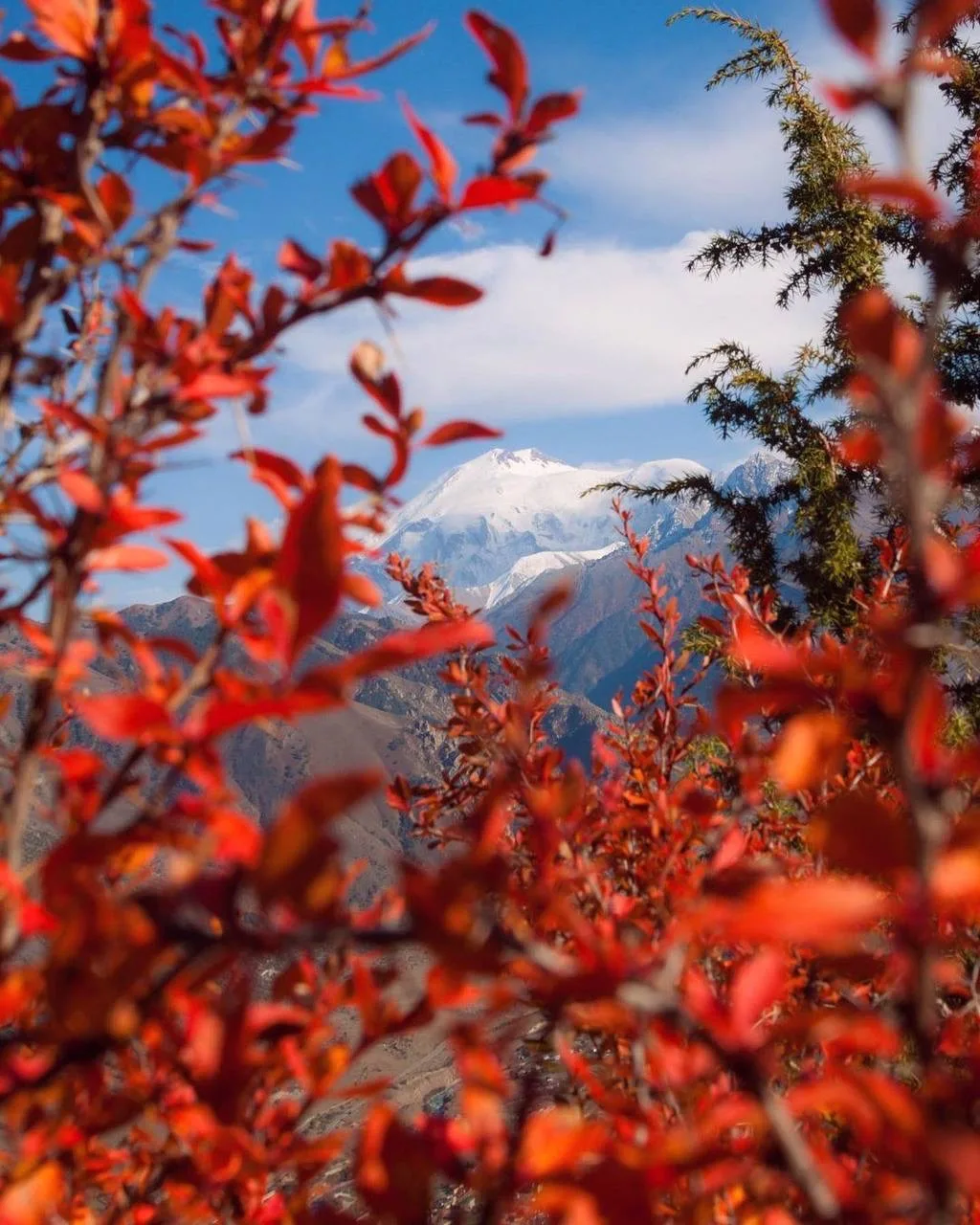 Осенние образы Северного Кавказа 🍂