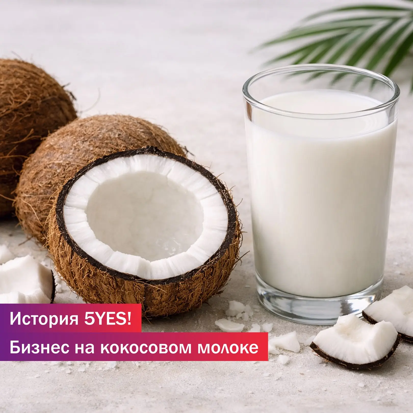 История 5YES! Бизнес на кокосовом молоке