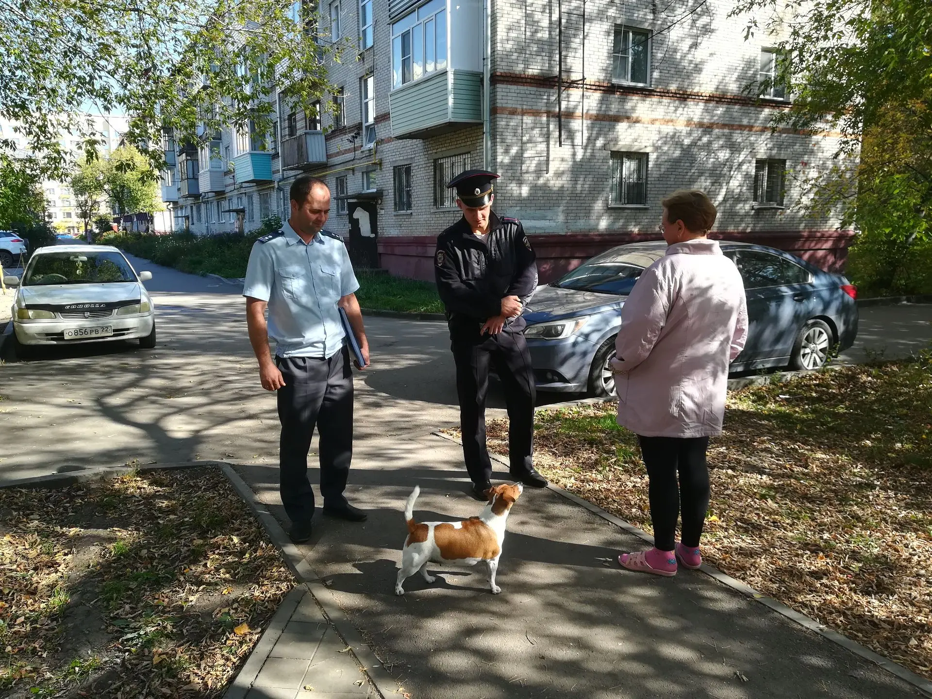 🐶 В поселке Южном прошли рейды по выявлению нарушений правил выгула и регистрации собак