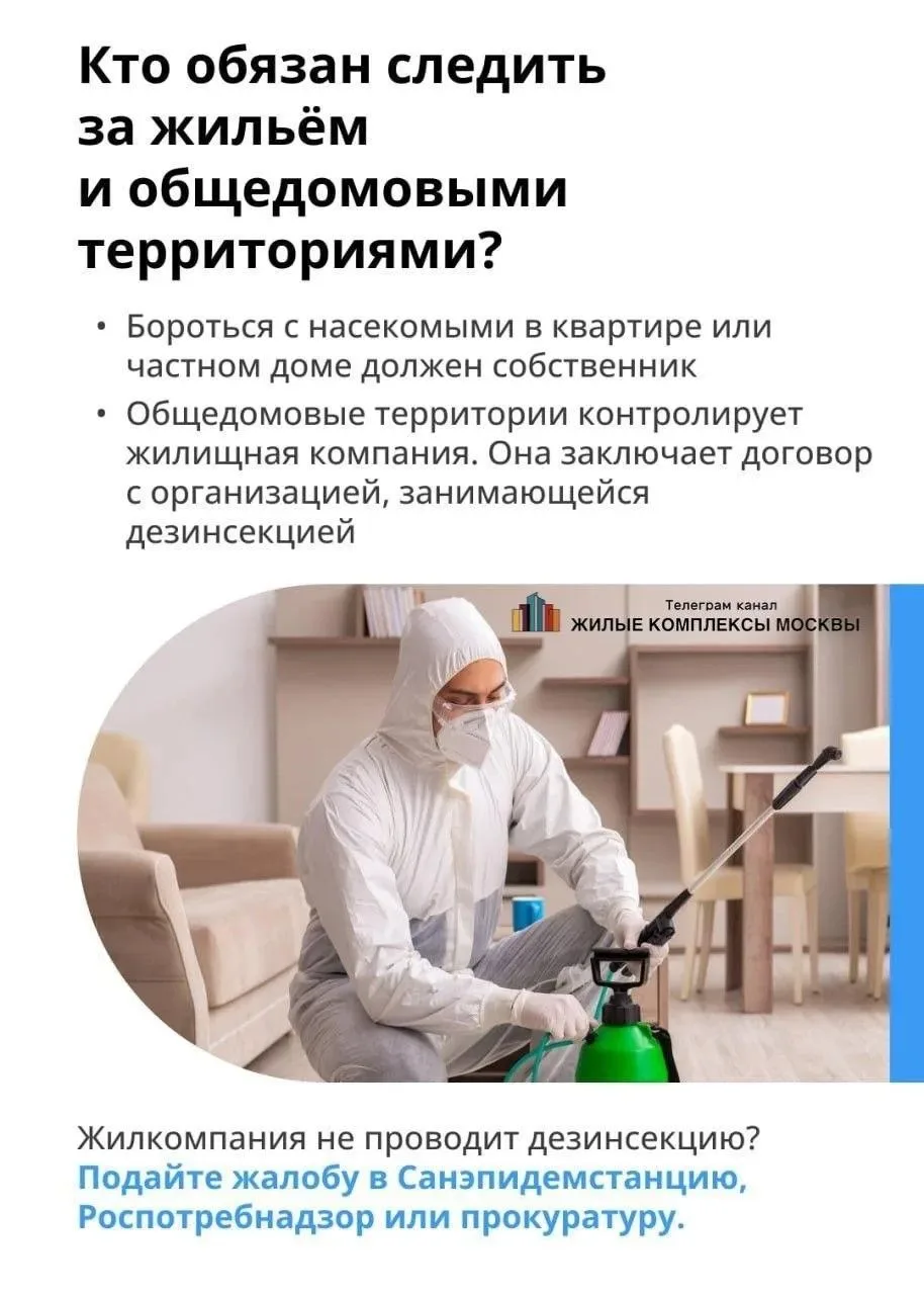 ☯️Про тараканов  ‼️Заметили таракана на лестничной клетке или в квартире?  ⚪️Насекомые в доме — сюрп