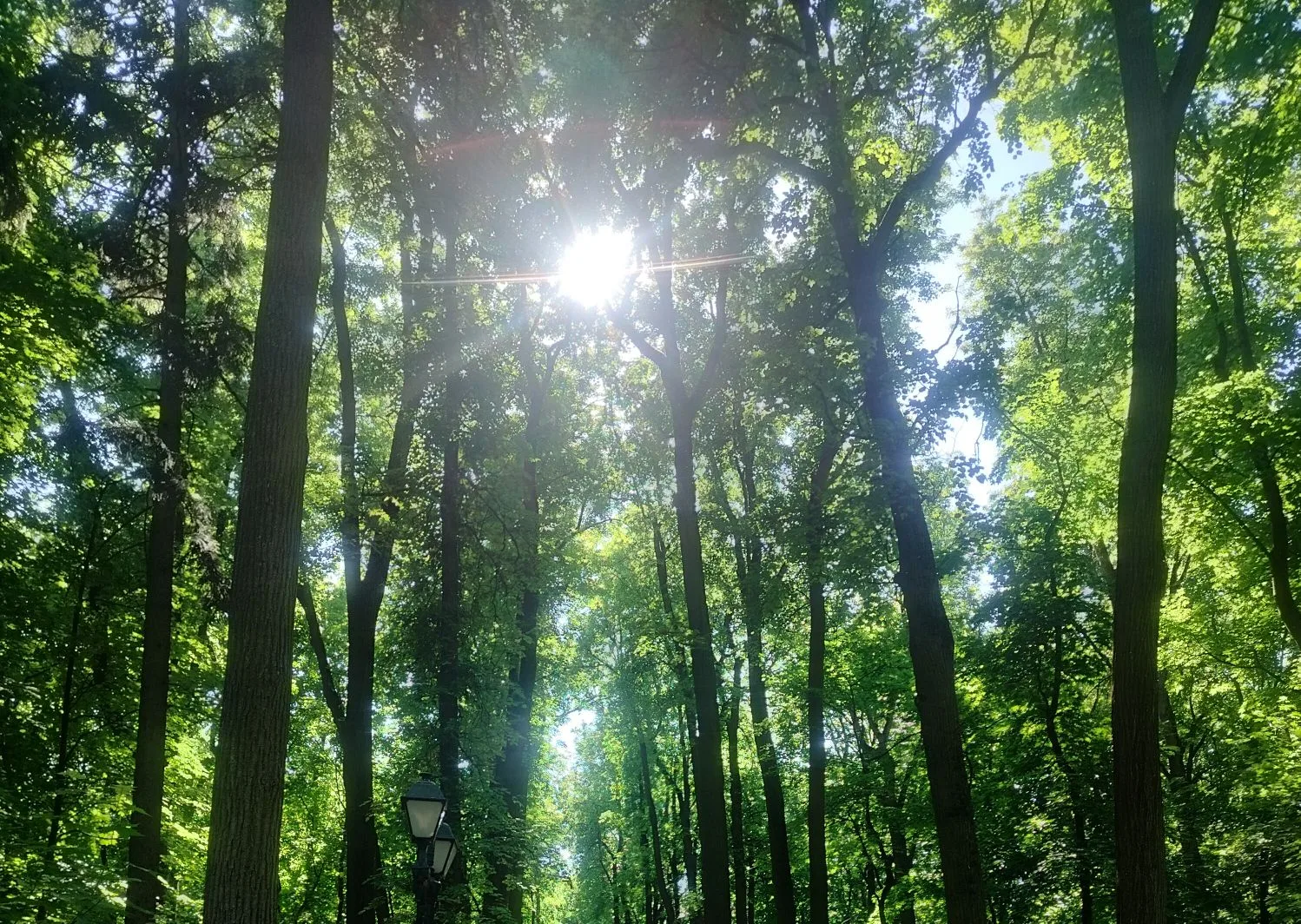 🌿Не бойся ничего. Господь везде. И даже когда кажется, что Он далеко, Он ближе, чем мы думаем. Помн