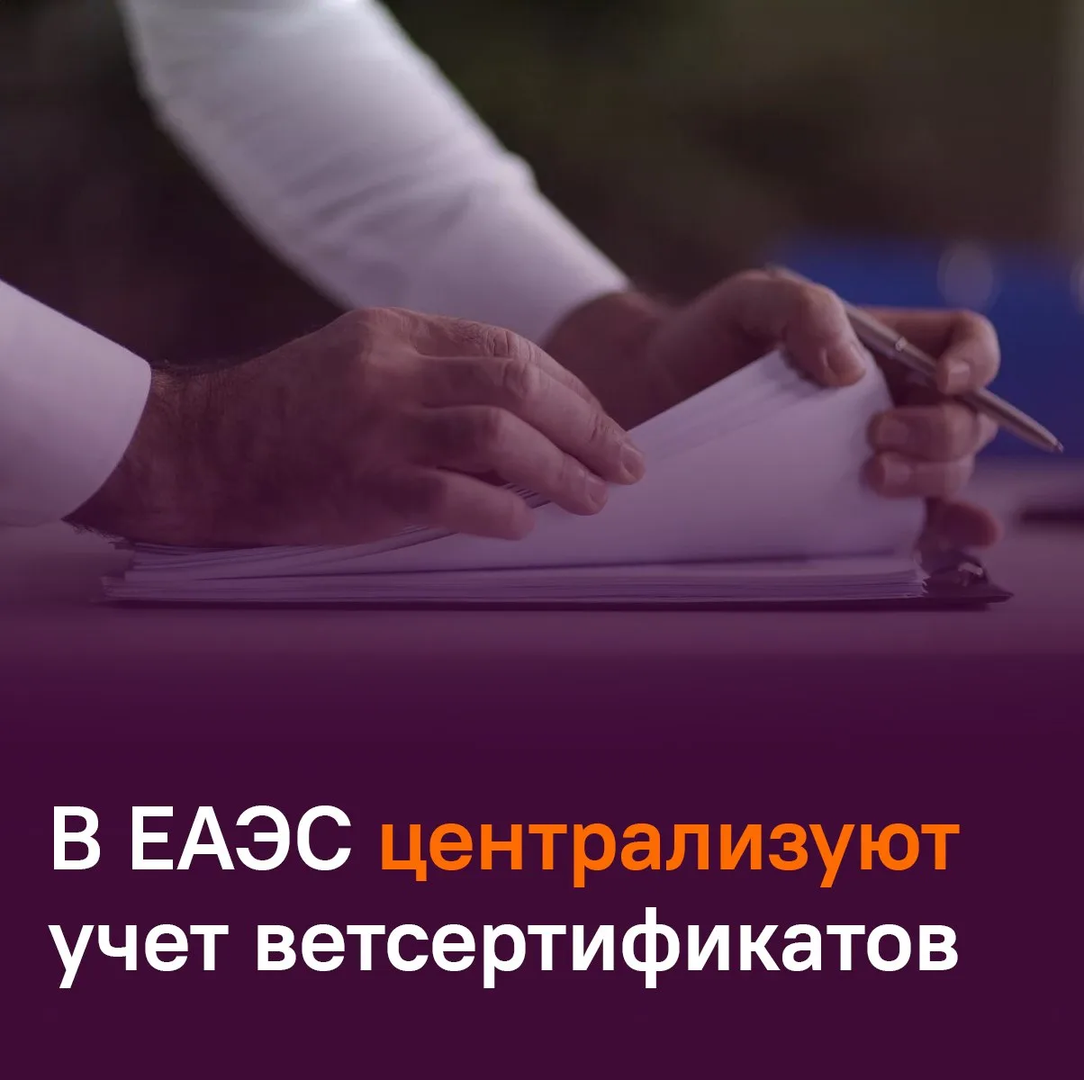 🩺 ЕАЭС получит право вести реестр ветеринарных сертификатов.

Соответствующую поправку согласовали 