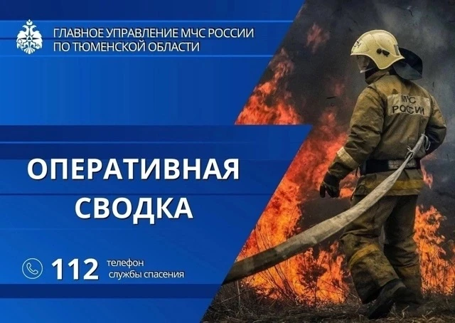 🔔 За минувшие сутки в Тюменской области:
