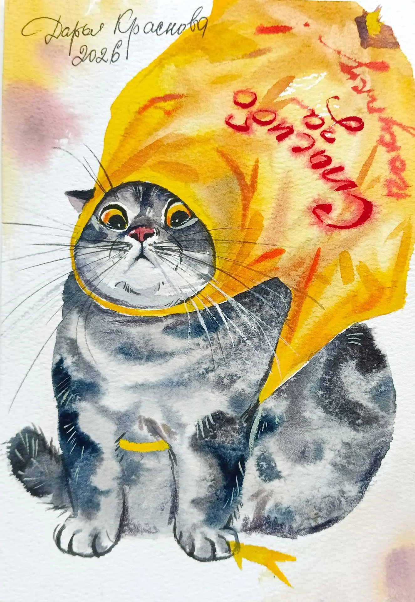 " Кот в мешке "