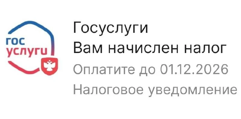 Налоги пришли: россиянам массово начисляют платежи