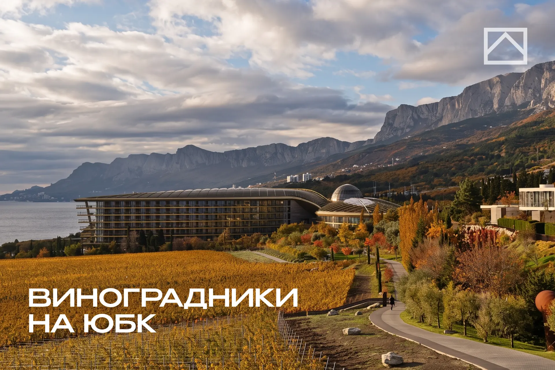 Осенний Крым: виноградники ЮБК, которые стоит увидеть
