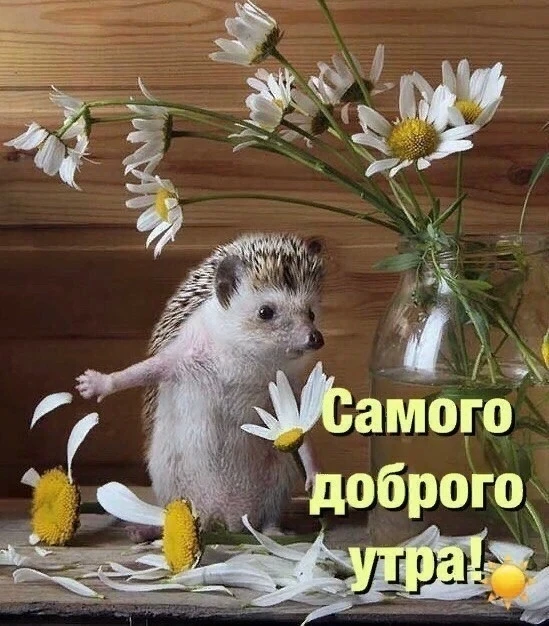 Если кому-то сегодня не скажут добрых слов... Позвольте мне: 
— Вы, самые любимые люди на свете. Чьи