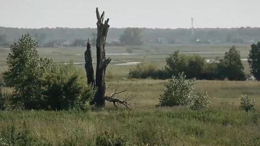 В Новосибирске «Водолея,» ложно осужденного за убийство, могут отправить в психбольницу