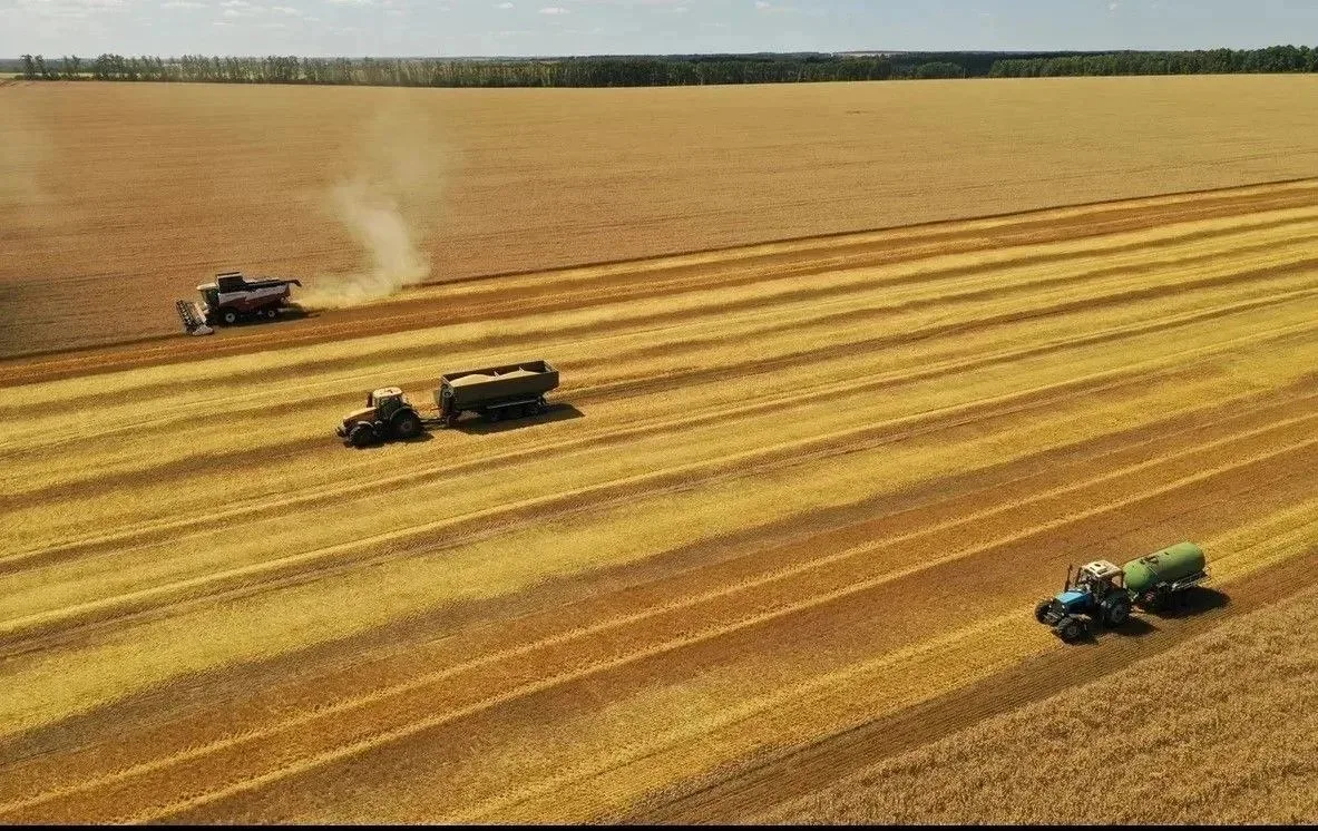 Александр Шуваев поделился подробностями уборочной кампании в Белгородской области.