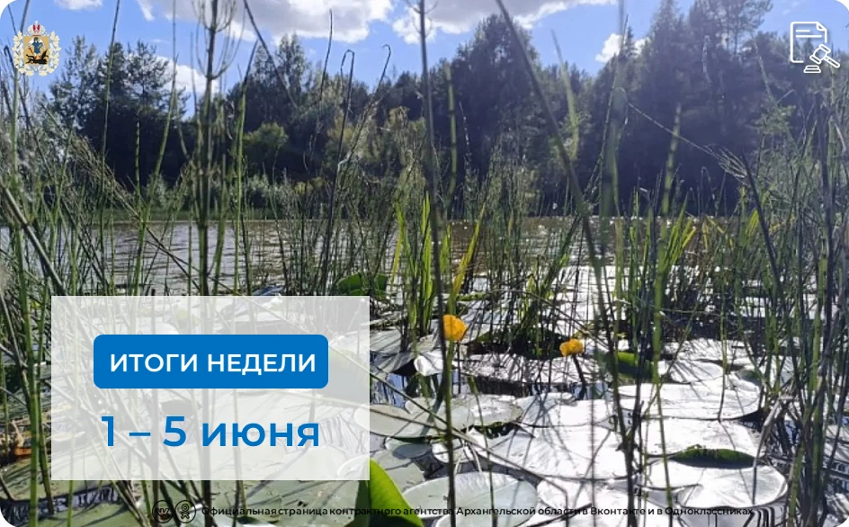 📊За прошедшую неделю агентством⤵️