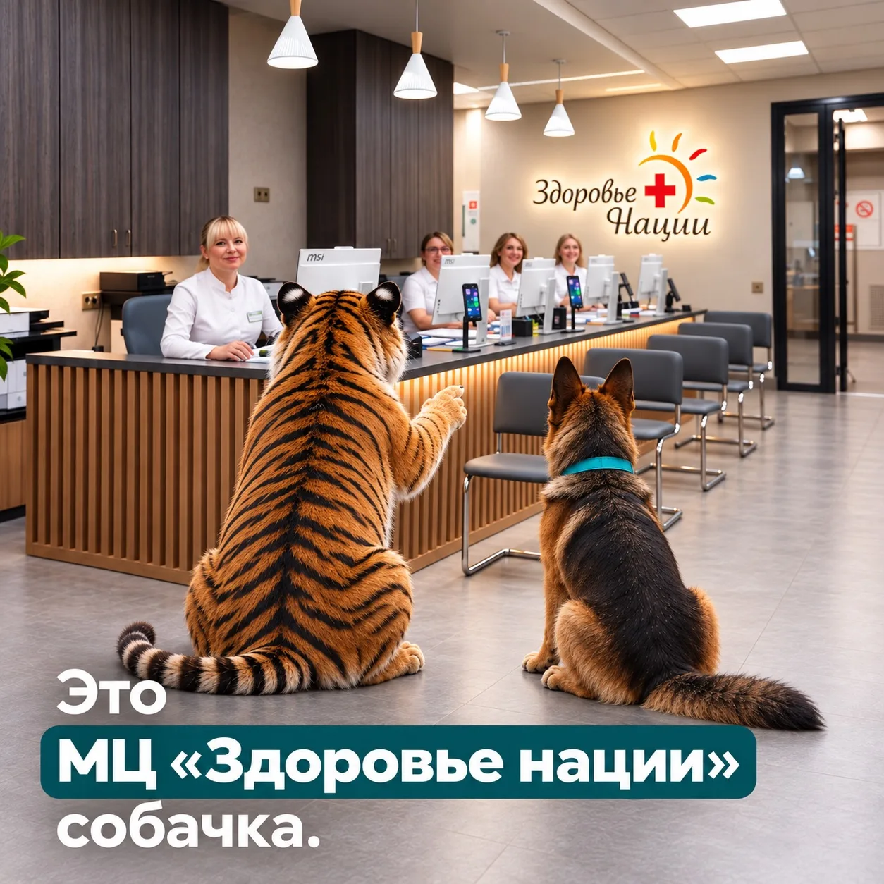 Тигр уже всё вам показал: где сдать анализы, пройти обследование и попасть к нужному сп...