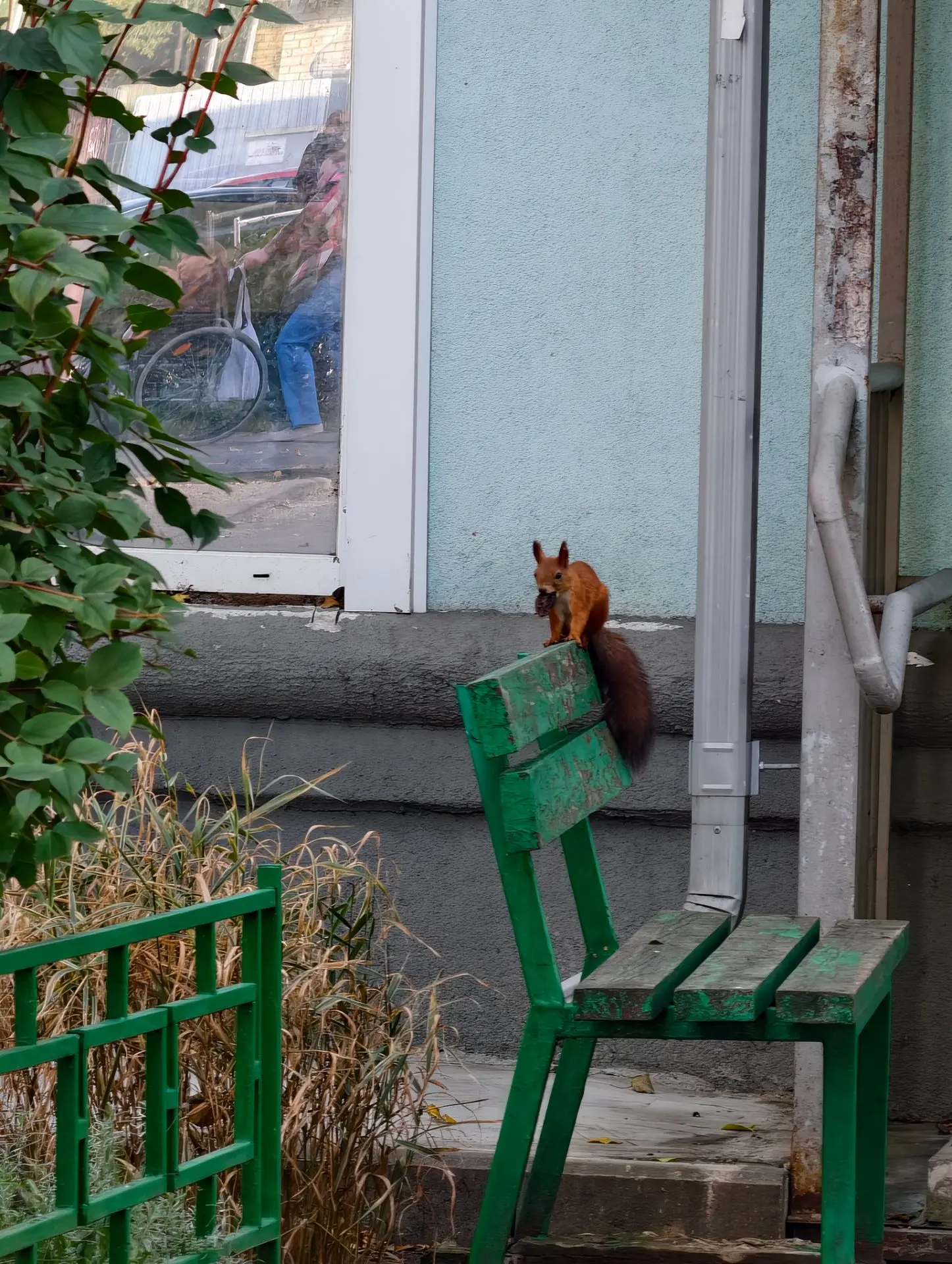 Всем доброе утро!!