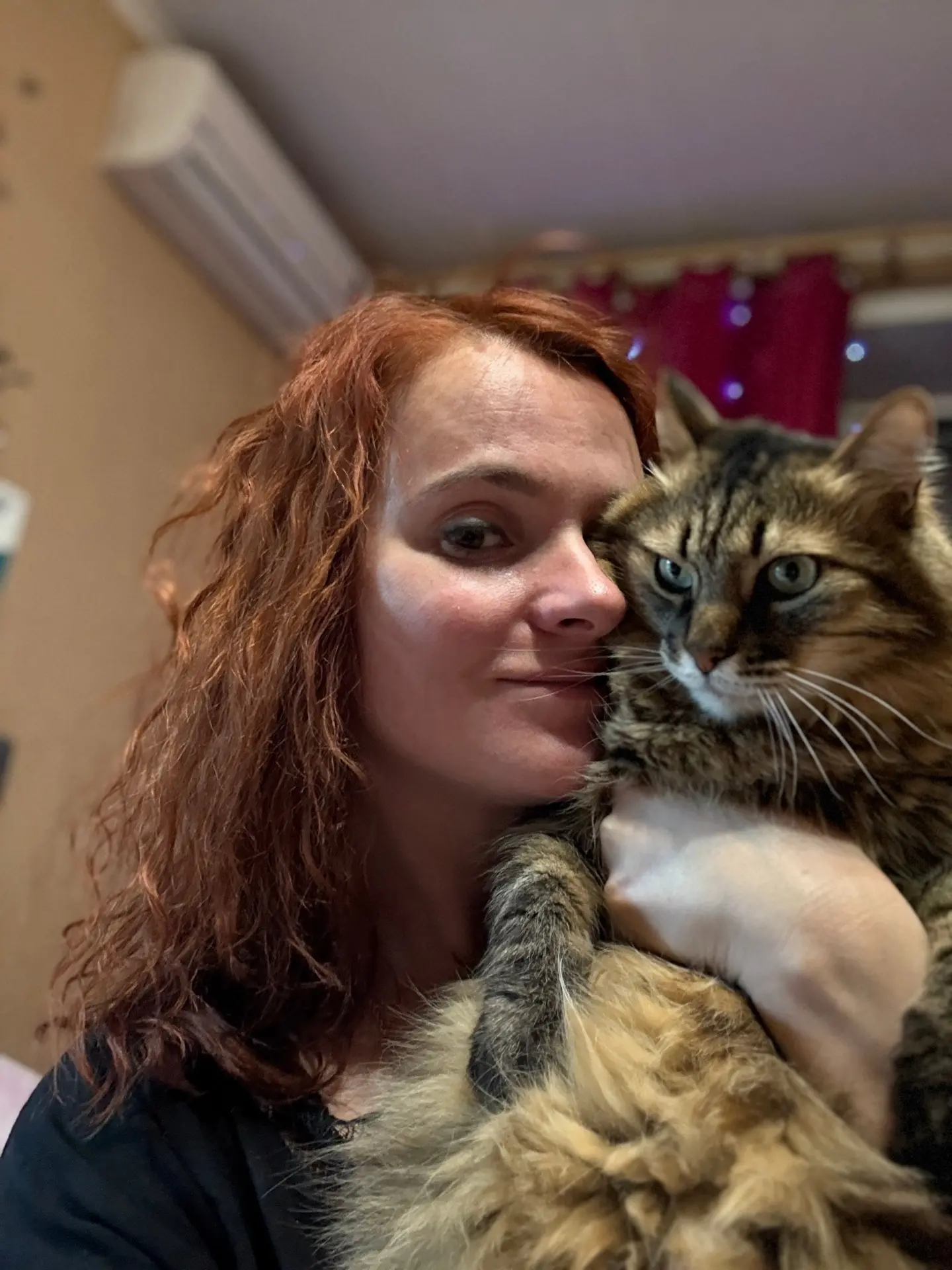 любовь человека к его коту