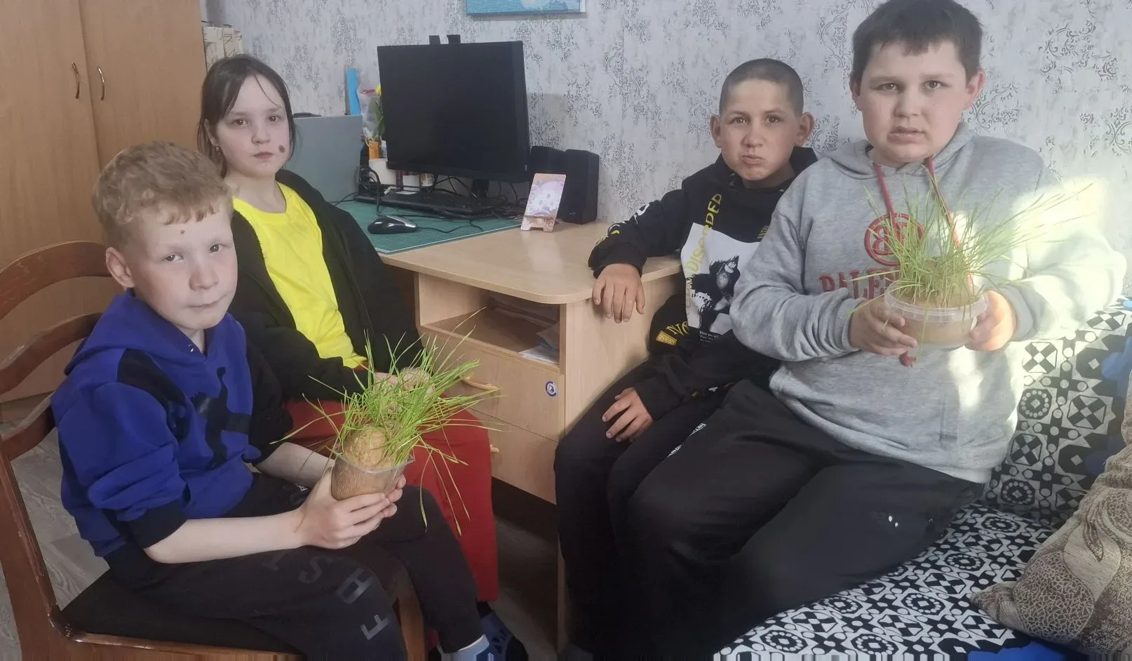 Дети 6 группы успешно завершили необычный учебно-практический проект: они вырастили пше...