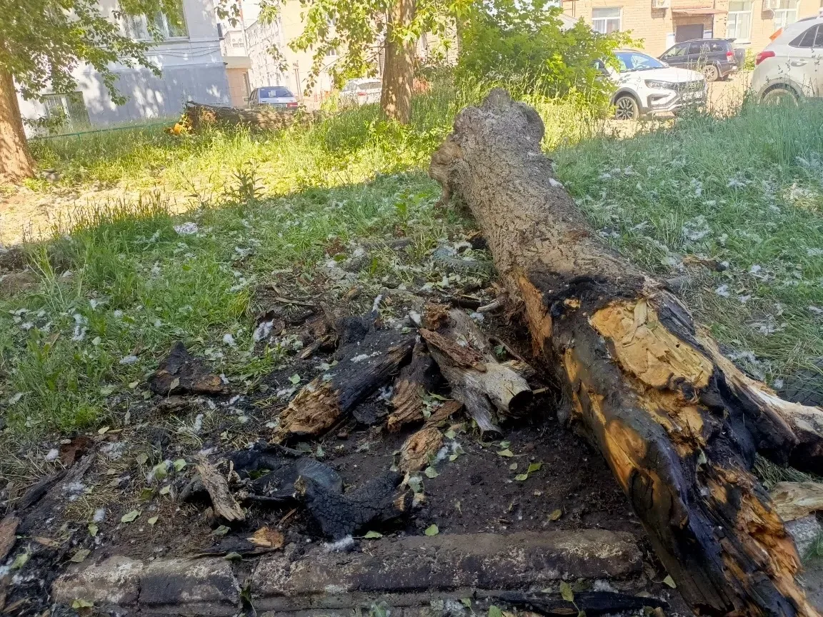 🚒Оперативная обстановка с пожарами за период с 8 по 14 июня.

За прошедший период на территории Чай